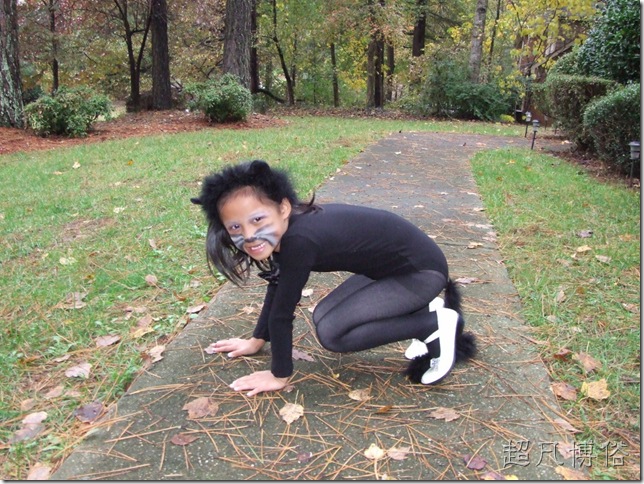 cat craws on the floor